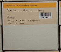 Image Associated With the Occurence